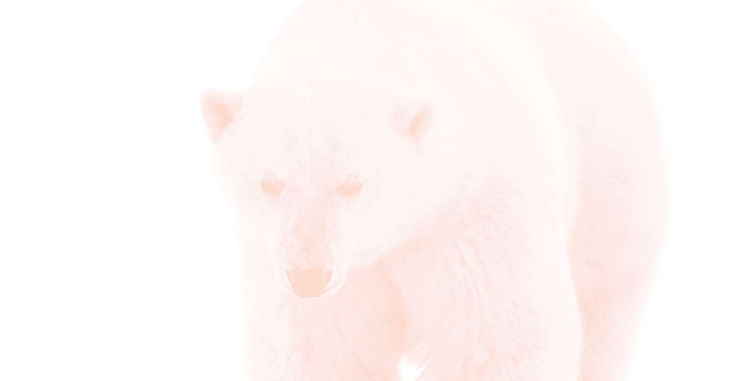 Polar Bear Law